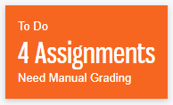 Needs Manual Grading